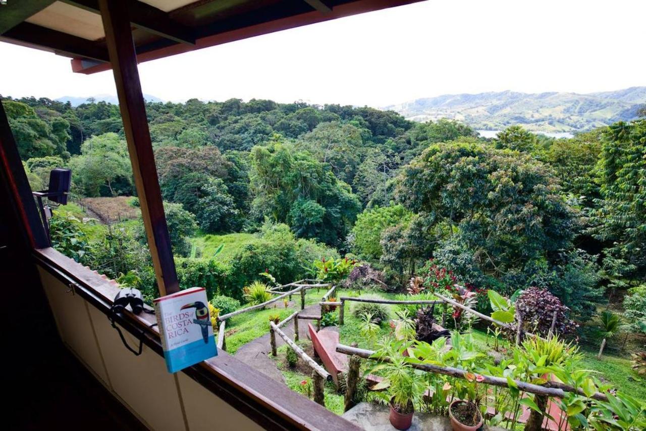 Toucan Lane Hotel And Restaurant Nuevo Arenal Esterno foto