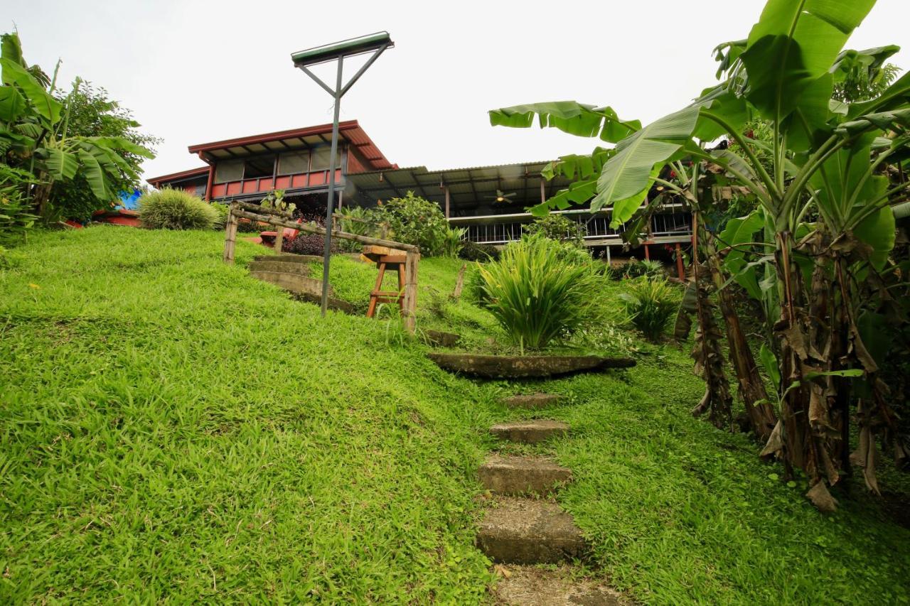 Toucan Lane Hotel And Restaurant Nuevo Arenal Esterno foto